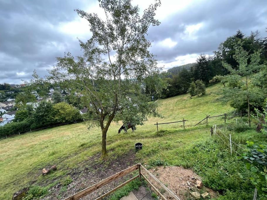 Altes Bauernhaus In Der Natur Detmold Eksteriør bilde